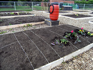 planting sections
